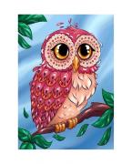 Colourful Owl