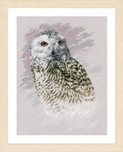 Snowy Owl