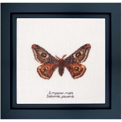 Emperor moth