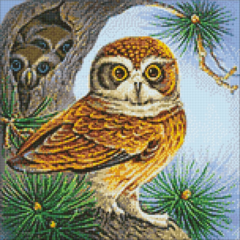 Owl From Lanarte - Diamond Painting - Kits - Casa Cenina