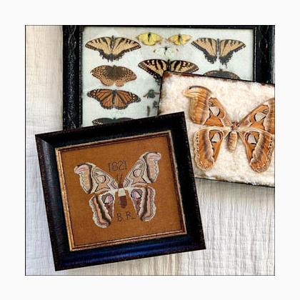 B.R.\'s Moth