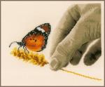 Hand & Butterfly