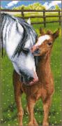 Horse & Foal