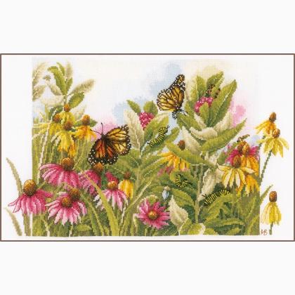 Butterflies & coneflowers