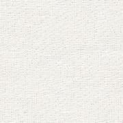 Edinburgh Linen 35 count - Opalescent on White