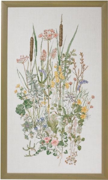 Water plants