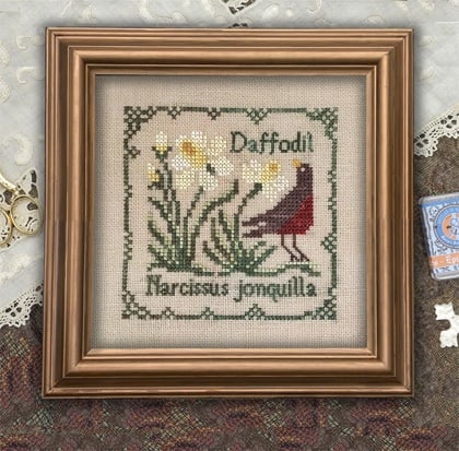Narcissus Jonquilla - Botanical Stitches