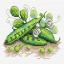 Green Peas