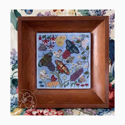 Butterfly Garden