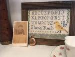 Flora Finch Sampler