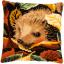 Front Cushion: Hedgehog