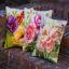 Front Cushion: Roses