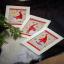 Greeting Cards: Christmas Gnomes
