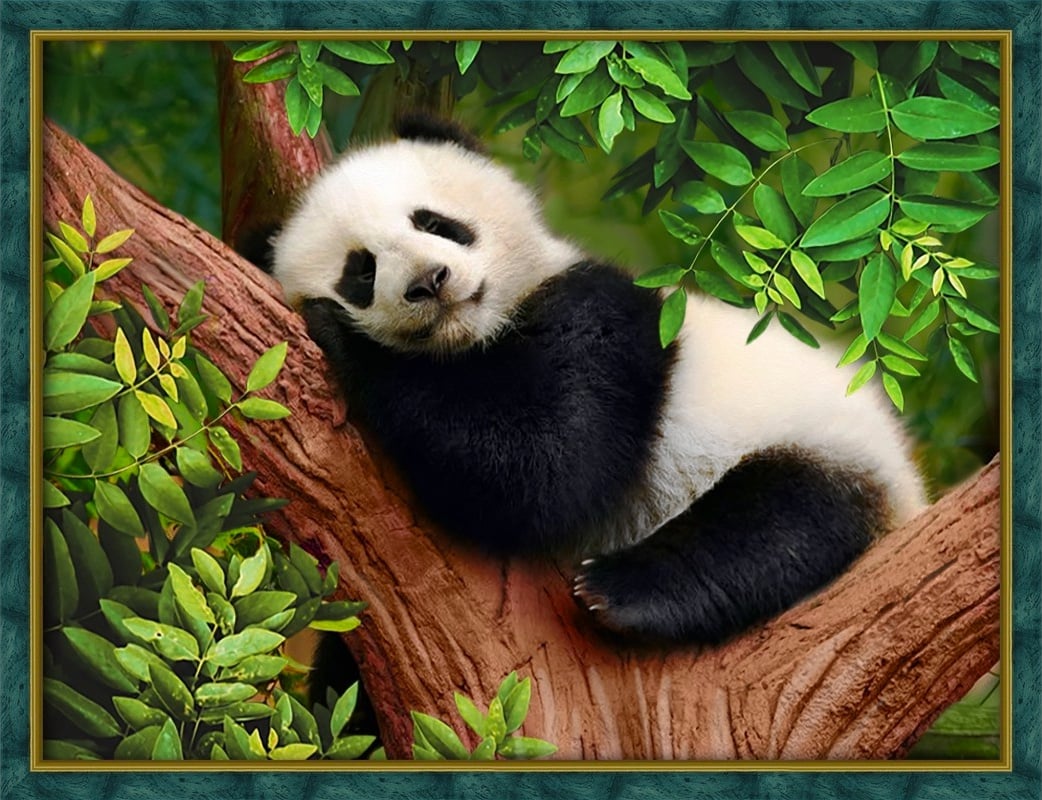 Sleepy Panda From Artibalta - Diamond Painting - Kits - Casa Cenina