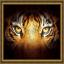 Tiger Look