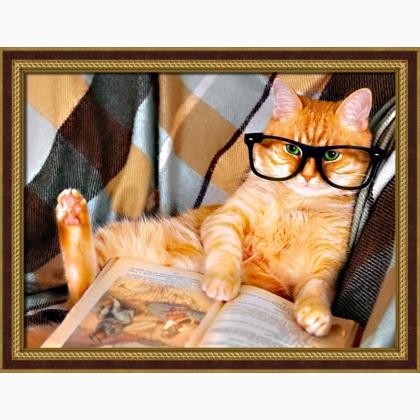 Cat with Glasses From Artibalta - Diamond Painting - Kits - Casa Cenina