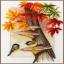 Chickadees between leaves