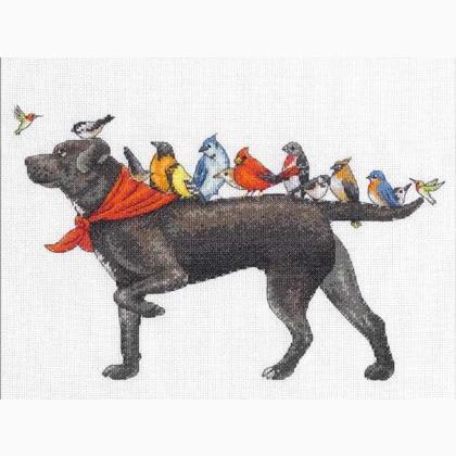 Bird Dog