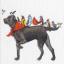 Bird Dog