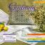Giuliana Ricama, issue #35