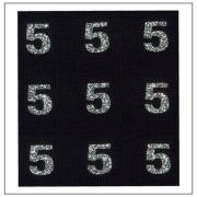 Glitter Numbers - "5"