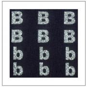 Glitter Letters - "B" "b"