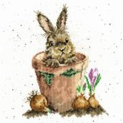 The Flower Pot