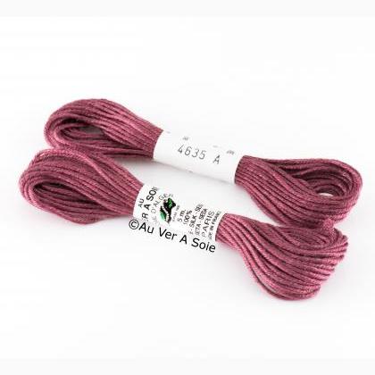 Soie d\'Alger - 4635