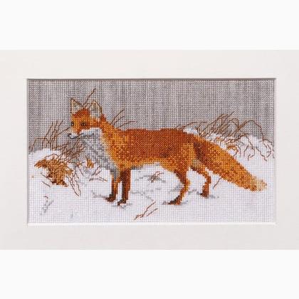 Foxy