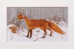 Foxy