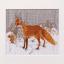 Foxy