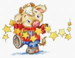Calf with stars