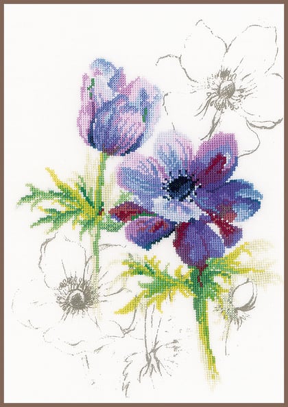 Blue Anemones