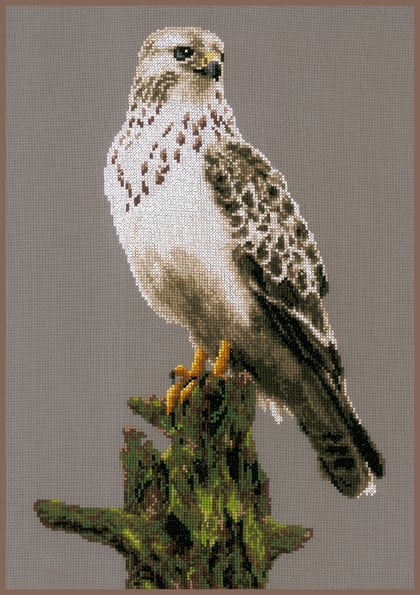Falcon