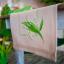 Runner - Lily of the valley