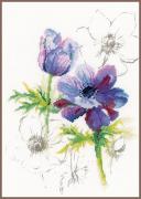 Blue Anemones
