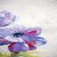 Blue Anemones