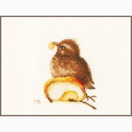 Young Blackbird