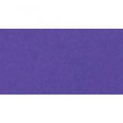 Embossing Powder - Purple