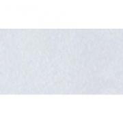 Embossing Powder - Frosted Crystal