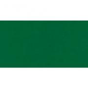Embossing Powder - Green