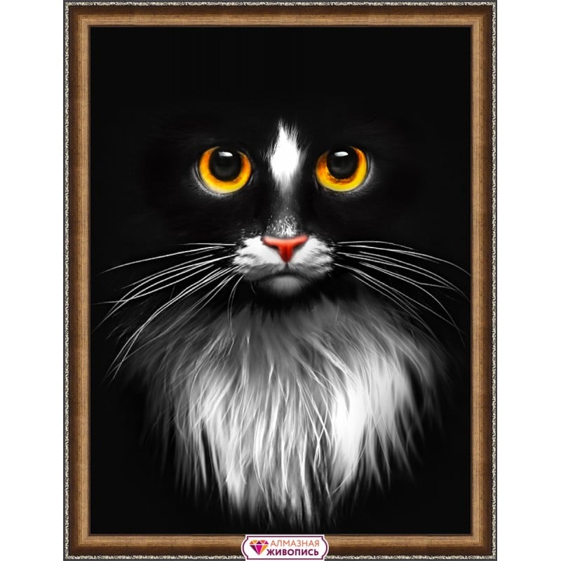 Black Cat From Artibalta - Diamond Painting - Kits - Casa Cenina