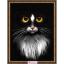 Black Cat