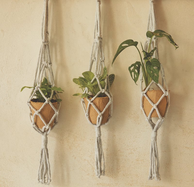 The Exhale Plant Hanger Macrame Kit From DMC - Knitting and Crocheting Kits  - Kits - Casa Cenina