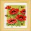 Summer Flowers - Set of 3