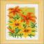 Summer Flowers - Set of 3