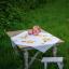 Squared Tablecloth - Orange Flowers and Butterflies