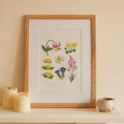 The Meadow Flowers Cross Stitch Kit