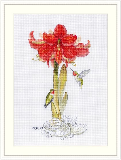 Amaryllis