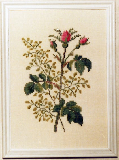 Roses